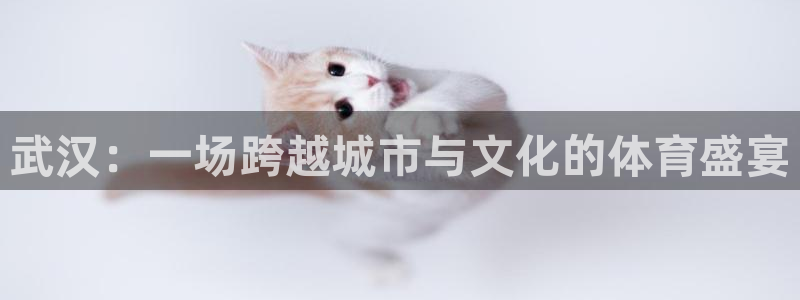 快体育篮球直播：武汉：一场跨越城市与文化的体育盛宴