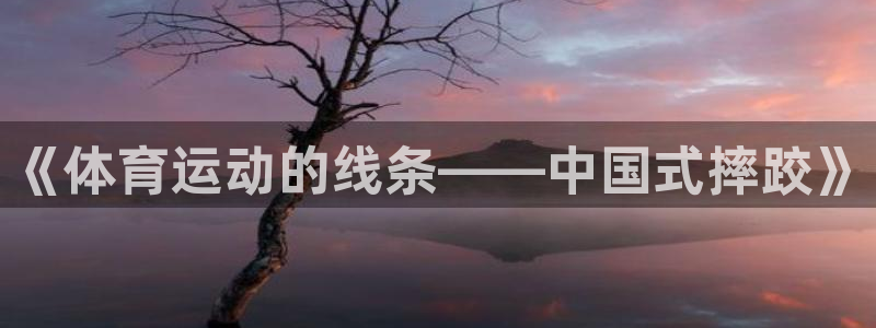 快体育足球篮球五大联赛：《体育运动的线条——中国式摔跤》