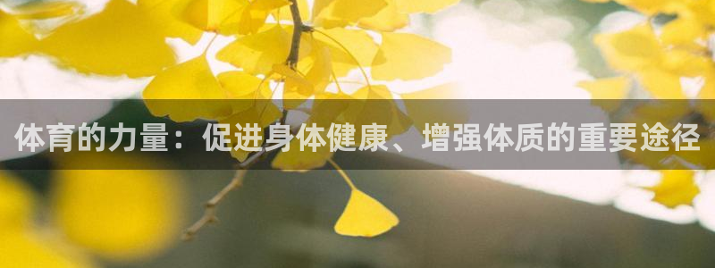 快体育直播五大联赛：体育的力量：促进身体健康、增强体质的重要途径
