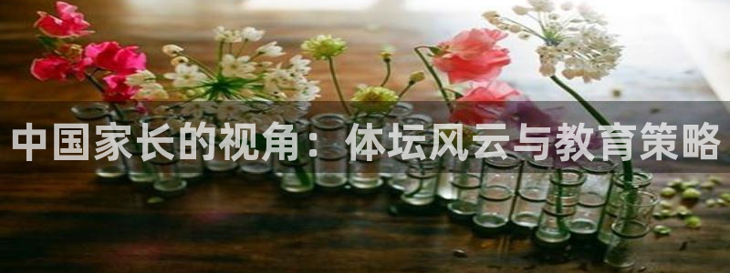 快体育五大联赛：中国家长的视角：体坛风云与教育策略