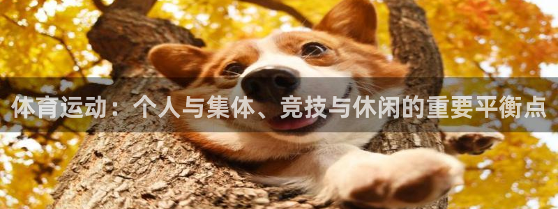 快体育：体育运动：个人与集体、竞技与休闲的重要平衡点