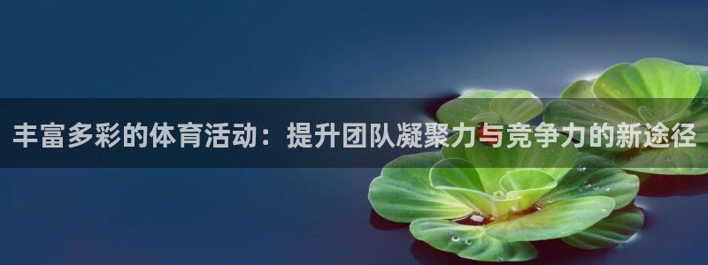 快体育袋鼠足球篮球五大联赛24小时实时直播：丰富多彩的体育活动：提升团队凝聚力与竞争力的新途径